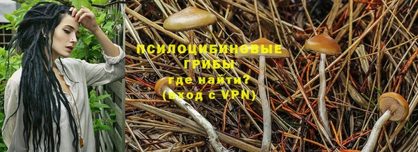 синтетический гашиш Абинск